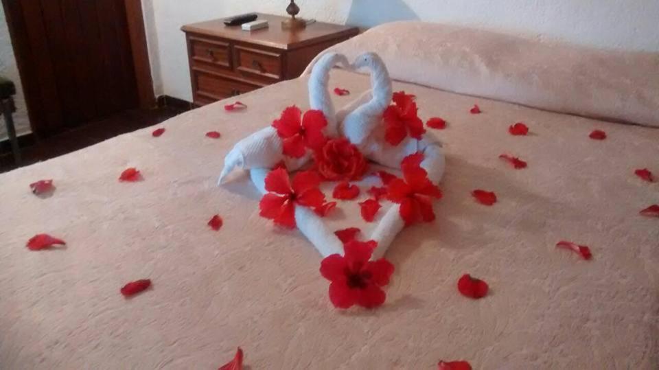 إنجينهيرو باسوس Hotel Fazenda Villa-Forte المظهر الخارجي الصورة